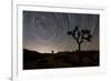 Star Trails and Joshua Trees in Joshua Tree National Park, California-null-Framed Photographic Print