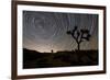 Star Trails and Joshua Trees in Joshua Tree National Park, California-null-Framed Photographic Print