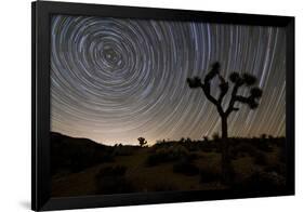 Star Trails and Joshua Trees in Joshua Tree National Park, California-null-Framed Photographic Print