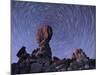 Star Trails Around the Northern Pole Star, Arches National Park, Utah-Stocktrek Images-Mounted Photographic Print