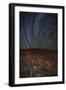 Star Trails at an Ancient Petroglyph Site Near Bishop, California-null-Framed Photographic Print