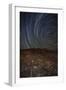 Star Trails at an Ancient Petroglyph Site Near Bishop, California-null-Framed Photographic Print