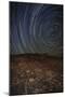 Star Trails at an Ancient Petroglyph Site Near Bishop, California-null-Mounted Photographic Print