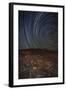 Star Trails at an Ancient Petroglyph Site Near Bishop, California-null-Framed Photographic Print