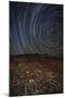 Star Trails at an Ancient Petroglyph Site Near Bishop, California-null-Mounted Photographic Print