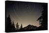 Star Trails Circle Above Mount Rainier-null-Stretched Canvas