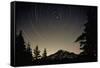 Star Trails Circle Above Mount Rainier-null-Framed Stretched Canvas