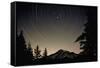 Star Trails Circle Above Mount Rainier-null-Framed Stretched Canvas