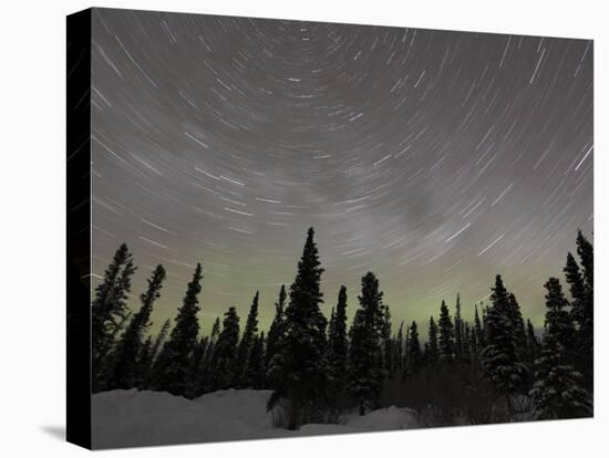 Star Trails, Milky Way and Green Aurora-Stocktrek Images-Stretched Canvas