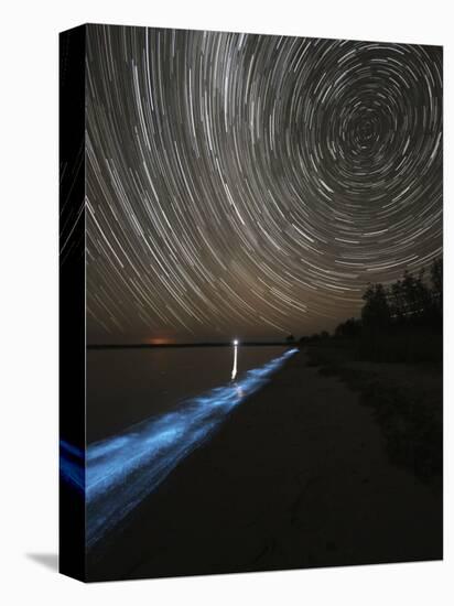 Star Trails over Bioluminescence in Waves on the Shores of the Gippsland Lakes, Australia-null-Stretched Canvas