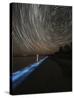 Star Trails over Bioluminescence in Waves on the Shores of the Gippsland Lakes, Australia-null-Stretched Canvas