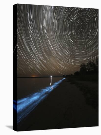 Star Trails over Bioluminescence in Waves on the Shores of the Gippsland Lakes, Australia-null-Stretched Canvas