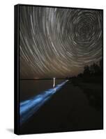 Star Trails over Bioluminescence in Waves on the Shores of the Gippsland Lakes, Australia-null-Framed Stretched Canvas