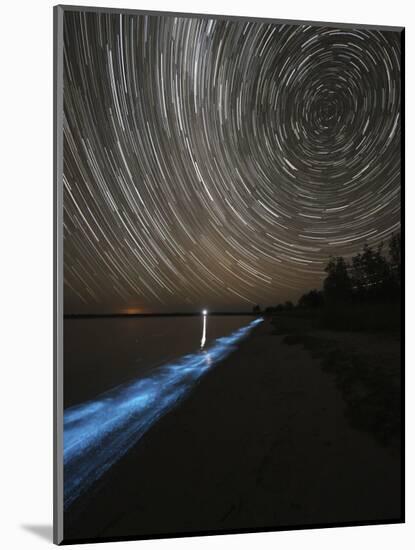 Star Trails over Bioluminescence in Waves on the Shores of the Gippsland Lakes, Australia-null-Mounted Photographic Print