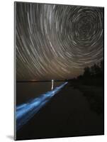 Star Trails over Bioluminescence in Waves on the Shores of the Gippsland Lakes, Australia-null-Mounted Photographic Print