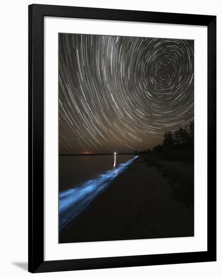 Star Trails over Bioluminescence in Waves on the Shores of the Gippsland Lakes, Australia-null-Framed Photographic Print