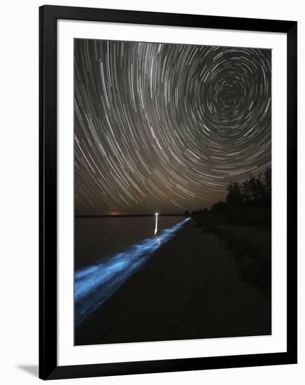 Star Trails over Bioluminescence in Waves on the Shores of the Gippsland Lakes, Australia-null-Framed Photographic Print