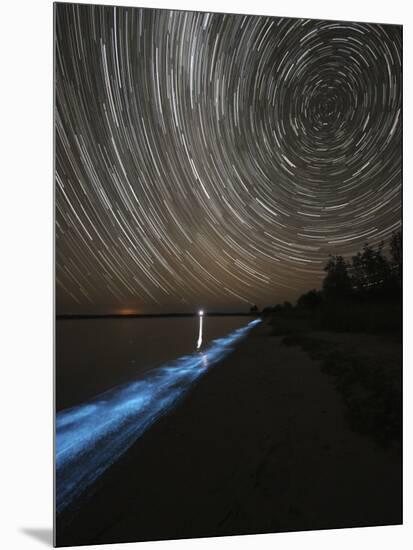 Star Trails over Bioluminescence in Waves on the Shores of the Gippsland Lakes, Australia-null-Mounted Photographic Print
