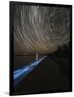 Star Trails over Bioluminescence in Waves on the Shores of the Gippsland Lakes, Australia-null-Framed Photographic Print