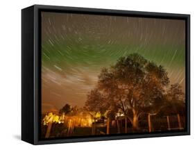 Star Trails Over Walnut Tree, Domain Road Vineyard, Central Otago, South Island, New Zealand-David Wall-Framed Stretched Canvas