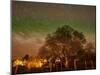 Star Trails Over Walnut Tree, Domain Road Vineyard, Central Otago, South Island, New Zealand-David Wall-Mounted Premium Photographic Print