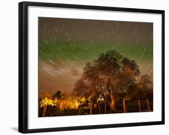 Star Trails Over Walnut Tree, Domain Road Vineyard, Central Otago, South Island, New Zealand-David Wall-Framed Photographic Print