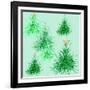 Star Trees-Anna Platts-Framed Giclee Print