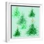 Star Trees-Anna Platts-Framed Giclee Print