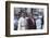 Star Trek Iv : The Voyage Home (photo)-null-Framed Photo