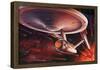 Star Trek Special Edition-null-Framed Poster