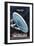 Star Trek, the Motion Picture, 1979-null-Framed Giclee Print