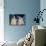 Star Trek The Motion Pictures (photo)-null-Mounted Photo displayed on a wall