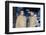 Star Trek The Motion Pictures (photo)-null-Framed Photo