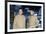 Star Trek The Motion Pictures (photo)-null-Framed Photo