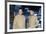 Star Trek The Motion Pictures (photo)-null-Framed Photo