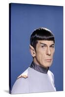 Star Trek The Motion Pictures (photo)-null-Stretched Canvas