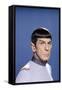 Star Trek The Motion Pictures (photo)-null-Framed Stretched Canvas