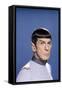 Star Trek The Motion Pictures (photo)-null-Framed Stretched Canvas