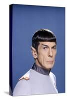 Star Trek The Motion Pictures (photo)-null-Stretched Canvas