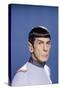 Star Trek The Motion Pictures (photo)-null-Stretched Canvas