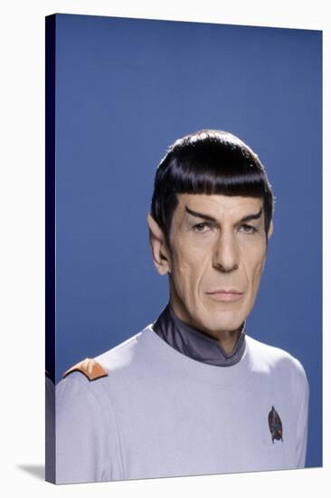 Star Trek The Motion Pictures (photo)-null-Stretched Canvas