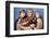 Star Trek : The Wrath Of Khan (photo)-null-Framed Photo