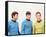 Star Trek-null-Framed Stretched Canvas