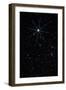 Star Vega In the Constellation of Lyra-John Sanford-Framed Photographic Print