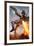 Star Wars- Boba Fett Rocket Action-null-Framed Poster