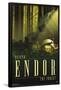 Star Wars: Endor - See the Forest by Russell Walks-Trends International-Framed Poster