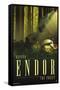 Star Wars: Endor - See the Forest by Russell Walks-Trends International-Framed Stretched Canvas