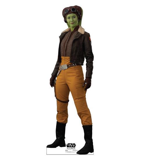 Cardboard Cutouts, , large