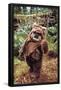 Star Wars: Return of the Jedi - Wicket W. Warrick-Trends International-Framed Poster