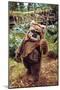 Star Wars: Return of the Jedi - Wicket W. Warrick-Trends International-Mounted Poster